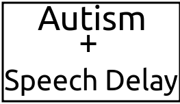 Autism+Speech Delay